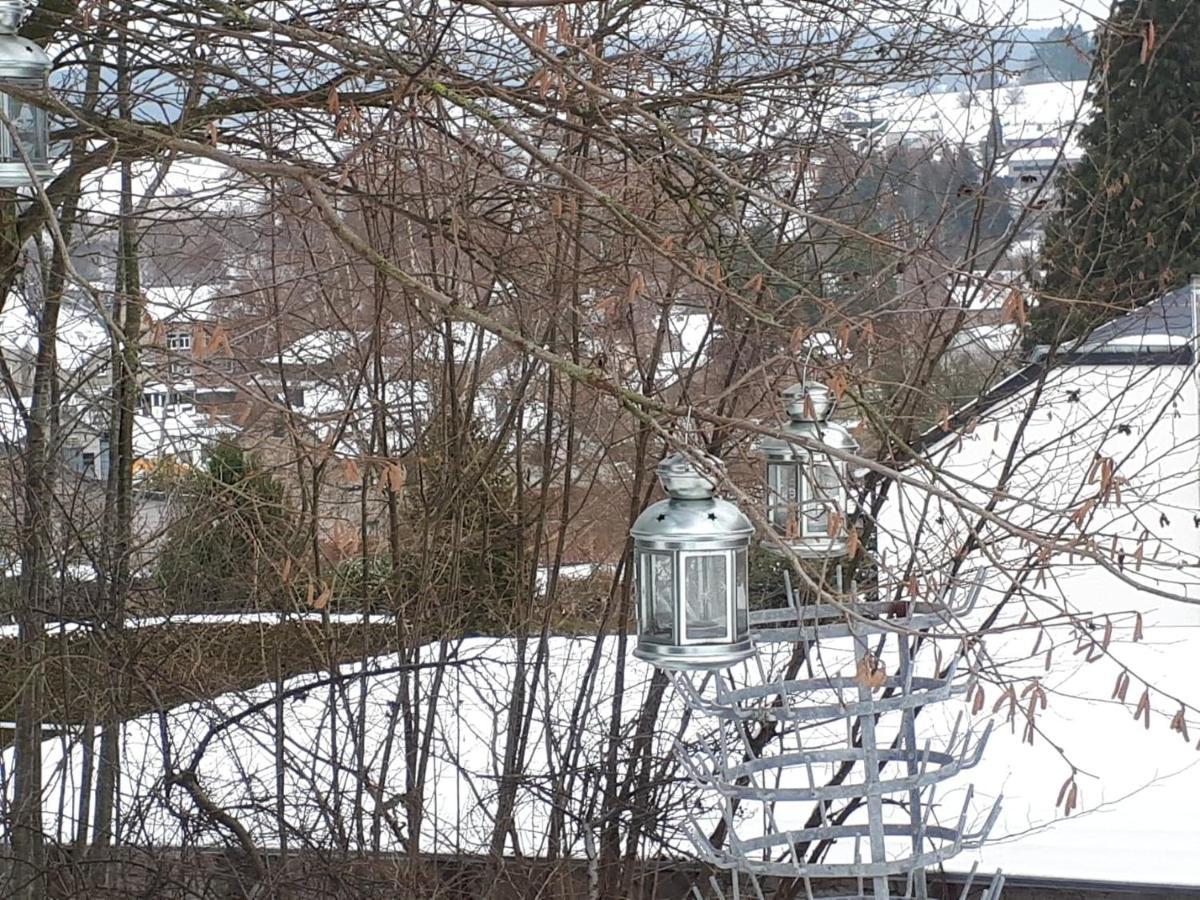 Le Hangar Des Voyageurs Petit-Halleux Exteriör bild