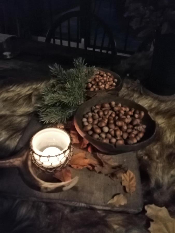 Le Hangar Des Voyageurs Petit-Halleux Exteriör bild